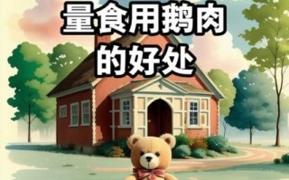 孕妇可以吃鹅肉吗_孕妇吃鹅肉对胎儿好吗