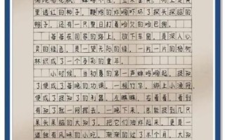 温暖的记忆作文怎么写_600字范文如何扩写到800字