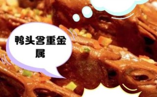 孕妇可以吃鸭头吗_鸭头对胎儿有影响吗