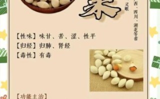 孕妇可以吃白果吗_白果对孕妇的影响