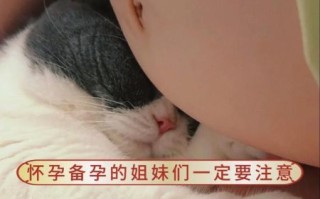 半熟的鸡蛋弓形虫孕妇_安全吃法