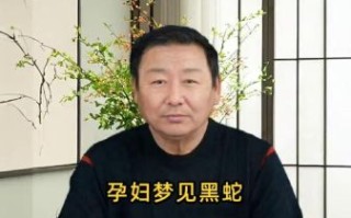 孕妇梦见黑蛇是什么意思_孕妇梦见黑蛇生男生女