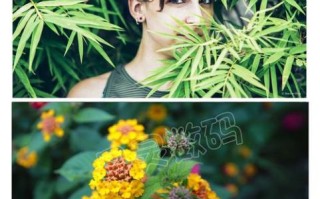 三阳85mm镜头怎么样_适合拍人像吗