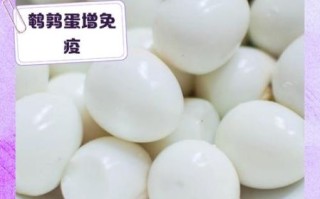 孕妇一天可以吃几个鹌鹑蛋_鹌鹑蛋对孕妇的好处