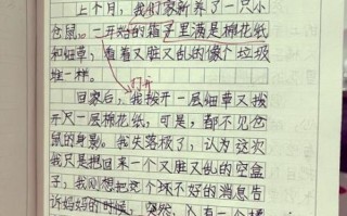 四年级作文观察日记怎么写_观察日记400字范文