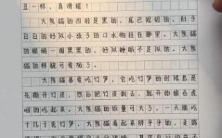如何写好作文_作文素材100字怎么扩展