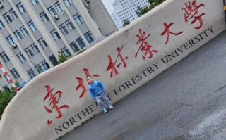 东北林业大学在哪_东北林业大学具体位置