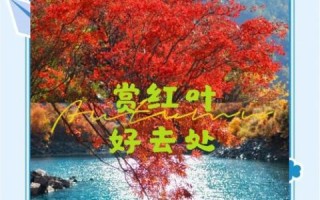 秋天去哪里看红叶_如何描写枫叶