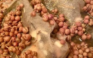 孕妇可以用花椒水泡脚吗_花椒水泡脚对孕妇安全吗