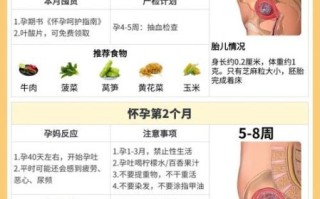 孕妇补充维生素a吃什么好_孕妇维生素a过量对胎儿的影响