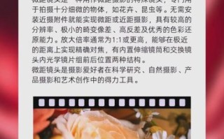 微距镜头怎么选_最佳微距镜头推荐