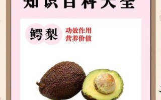 孕妇牛油果怎么吃_牛油果孕妇一天吃多少合适