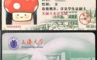 上海理工大学教务管理系统登录入口_忘记密码怎么办