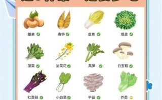 孕妇可以吃什么蔬菜_孕期蔬菜安全指南