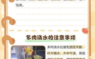 多肉植物怎么养_多肉植物多久浇一次水