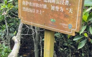 红树林有什么作用_红树林为什么重要