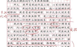 中考满分作文700字怎么写_中考作文如何拿高分