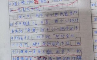 弟弟的作文怎么写_500字作文如何扩写到800字