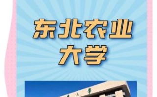 东北农业大学地址在哪里_怎么去最方便