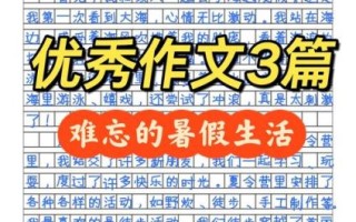 暑假生活怎么写_作文素材哪里找