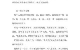 打羽毛球作文怎么写_打羽毛球作文300字怎么扩展