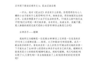 五年级下册第三单元作文怎么写_如何写读后感