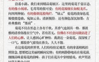 菊花作文600字怎么写_菊花有哪些象征意义