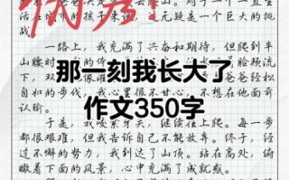 优秀作文350字怎么写_350字作文如何得高分