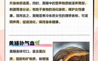 孕妇能吃黄鳝吗_孕期吃黄鳝注意事项