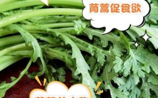 孕妇能吃茼蒿菜吗_怀孕吃茼蒿的禁忌
