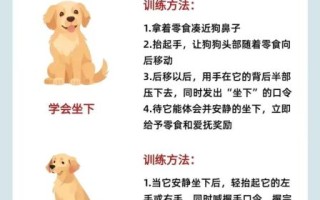 我家的小狗怎么训练_适合新手的小狗训练技巧