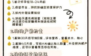 孕妇可以养狗吗_孕期养狗注意事项