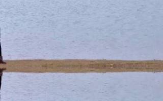 单镜头拍摄技巧_如何用一部手机拍出电影感