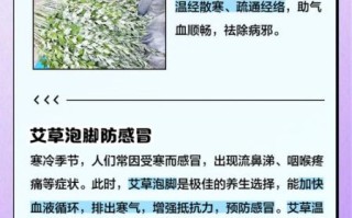 孕妇可以用艾草泡脚吗_孕妇泡脚禁忌