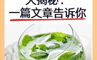 孕妇可以喝薄荷水吗_薄荷水对胎儿有影响吗