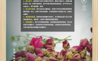 孕妇可以闻玫瑰花香吗_孕妇用玫瑰精油安全吗