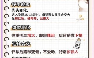 孕妇可以养猫吗_怀孕养猫注意事项