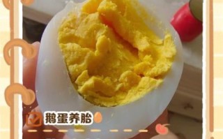孕妇吃鹅蛋去胎毒的正确方法_鹅蛋去胎毒什么时候吃最好