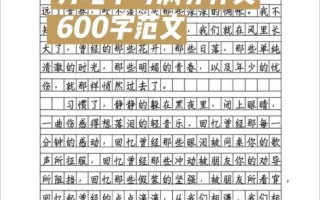 中考满分作文600字怎么写_中考作文如何拿满分