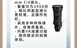 平民打鸟镜头推荐_预算2000以内怎么选