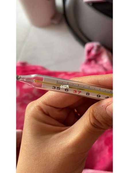 孕妇体温多少算正常_孕妇体温37.3℃需要去医院吗-第2张图片-星辰妙记