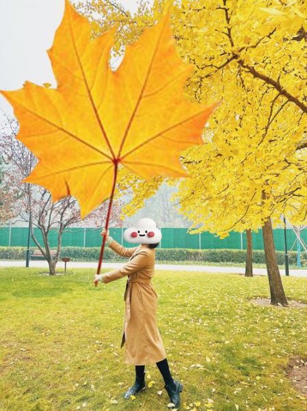 枫叶镜头适合拍什么_枫叶镜头怎么选-第1张图片-星辰妙记 枫叶镜头适合拍什么_枫叶镜头怎么选-第1张图片-星辰妙记