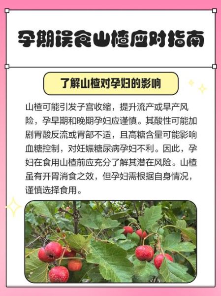 山楂孕妇能吃吗_孕期吃山楂注意事项-第1张图片-星辰妙记 山楂孕妇能吃吗_孕期吃山楂注意事项-第1张图片-星辰妙记