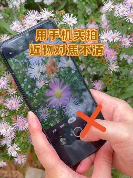 百微镜头怎么用_百微镜头适合拍什么-第2张图片-星辰妙记