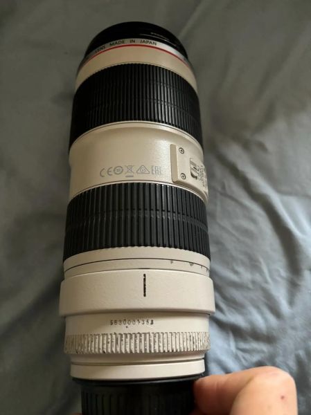 佳能小白兔镜头值得买吗_佳能小白兔镜头适合拍什么-第2张图片-星辰妙记