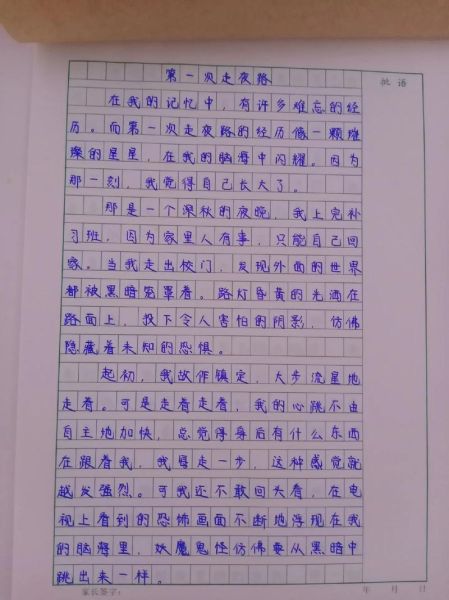 第一次写作文怎么写_第一次写作文要注意什么-第1张图片-星辰妙记