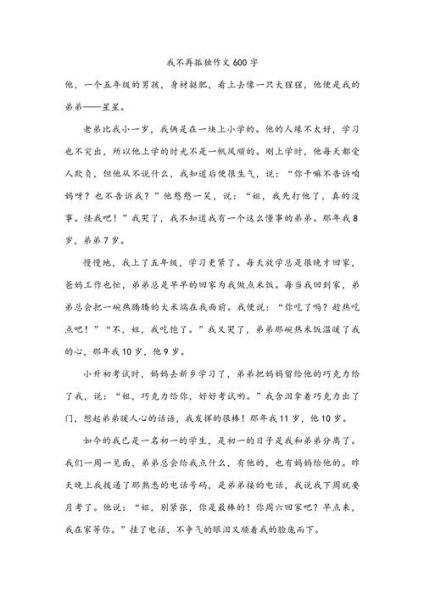 不再孤单作文怎么写_如何写出真情实感-第1张图片-星辰妙记