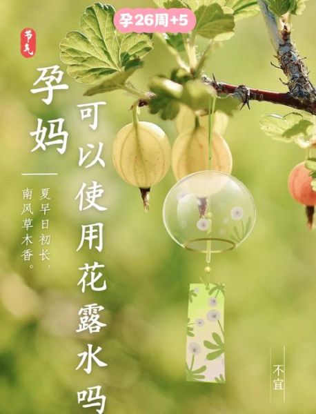 孕妇可以闻精油吗_孕妇可以闻花露水吗-第1张图片-星辰妙记 孕妇可以闻精油吗_孕妇可以闻花露水吗-第1张图片-星辰妙记