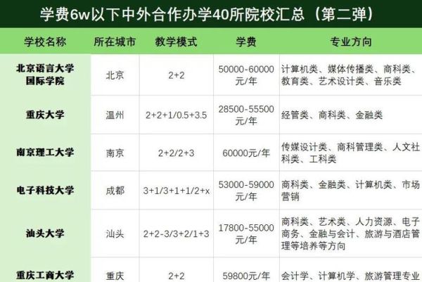 上海大学中外合作办学怎么样_学费多少-第1张图片-星辰妙记