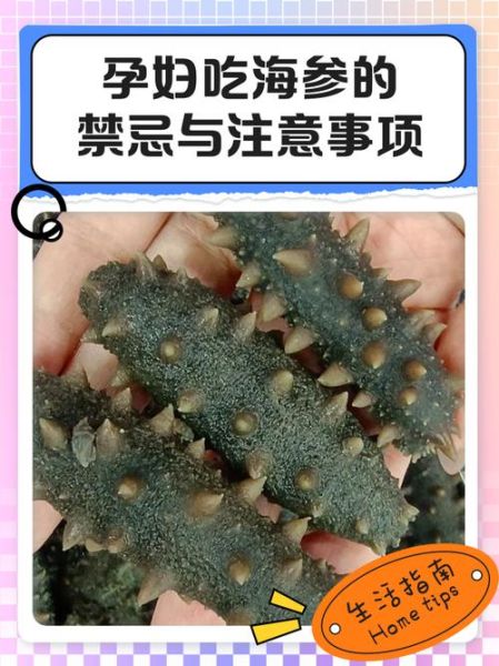 孕妇一天一个海参好吗_孕期吃海参的注意事项-第2张图片-星辰妙记 孕妇一天一个海参好吗_孕期吃海参的注意事项-第2张图片-星辰妙记
